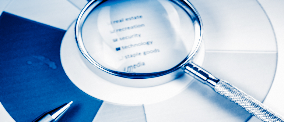 DRS Oversight Services